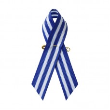 AFALS Scholarship Donation