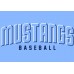 Mustangs Connect Logo